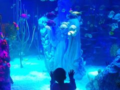 -沈阳海洋探索中心