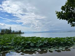 -西昌邛海湿地