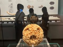 -广西壮族自治区博物馆