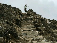 -终南山国家森林公园