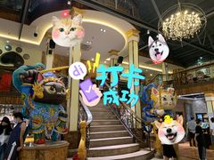 -more than meow吴止猫主题餐厅(承德 中船汇店)