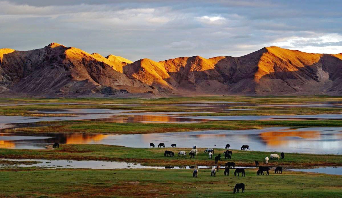 探秘可可西里,高原上的自然奇迹 🌍🌿