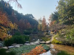 -云溪植物园