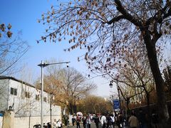 -天津五大道文化旅游区