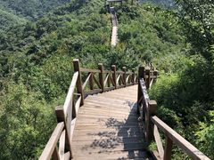 -大岭沟猕猴桃谷风景区