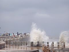 -日照灯塔风景区