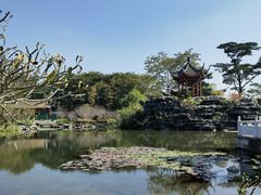 -顺峰山公园