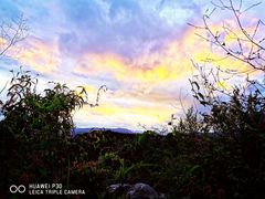 -长虫山生态公园风景林