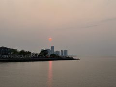 -万绿园