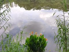 -重庆彩云湖湿地公园