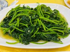 蒜蓉炒番薯叶-巫记鸡饭店
