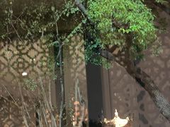 -七欣天香辣蟹火锅(苏州东大街店)