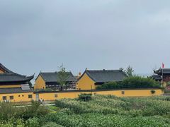 -莲花岛景区