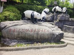 -都江堰中华大熊猫苑