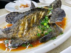 葱油石斑鱼-渔中舟海鲜大排档(普陀沈家门店)