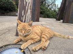 -杭州半山国家森林公园