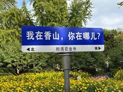 -香山公园