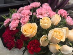 -溪岸路花鸟市场