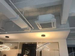 -蚂蚁造型沙龙