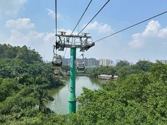 -广州长隆野生动物世界