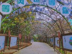 -溪霞怪石岭生态公园