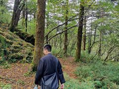 -九峰山