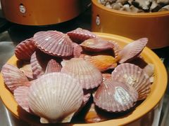 -龍歌自助小火锅(崂山丽达店)