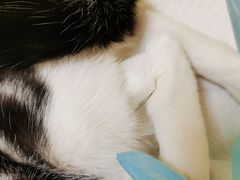 -美联众合24小时·皮肤科·外科·全科诊疗中心(华苑分院)