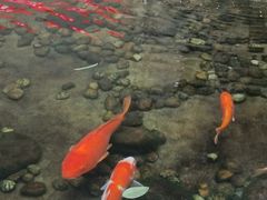 -辽宁省人民医院