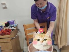 -上海永慈康复医院