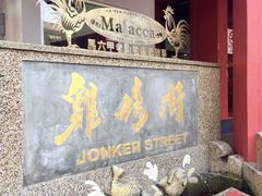 -马六甲鸡场街