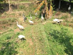 -泉州海丝野生动物世界