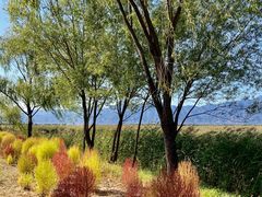 -野鸭湖国家湿地公园