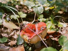 -松花湖风景名胜区