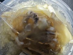 -安海长火土笋冻