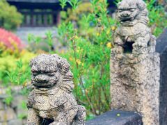 -韩湘水博园