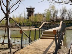 -东郊湿地公园