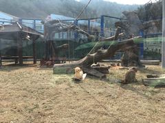 -大连森林动物园