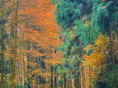 -山王坪喀斯特国家生态公园