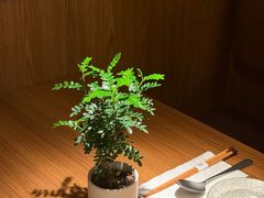 -CURRY YA 熟成咖哩專門店(深圳湾万象城店)