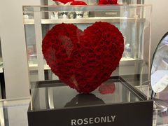 -ROSEONLY诺誓(广州K11店)