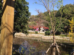 iphone_upload_pic-林屋洞景区