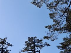 -瓦屋山景区