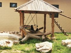 -辛玛王国游乐园