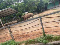 -东莞香市动物园