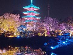 -武汉大学-樱园