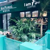 青浦吾悦新开的鲜花咖啡店