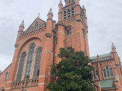 -上海佘山国家森林公园西佘山园