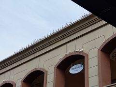 -王府井奥莱临潼小镇(临潼店)