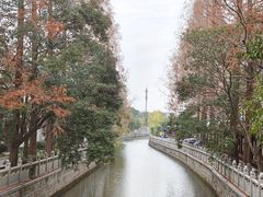 -安亭老街